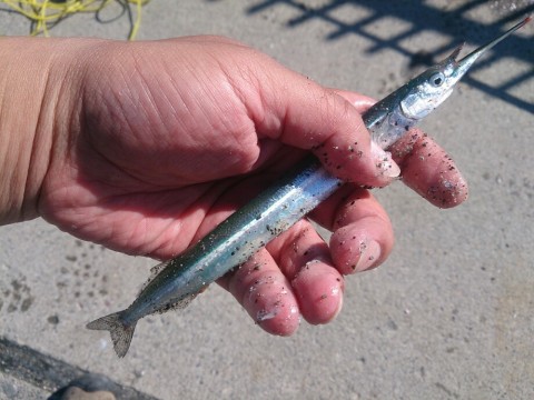 f7ograff66gxuca3r4kk_920_690-f416097f.jpg