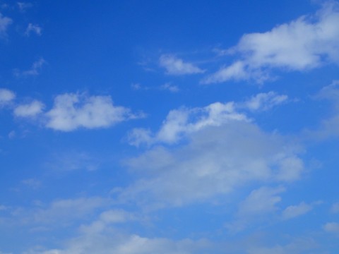 f7py6tcsmngn88gcanw2_480_480-3f804de3.jpg