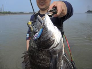 f887foc3vbxm4nhvfj3s-5d612cc9.jpg
