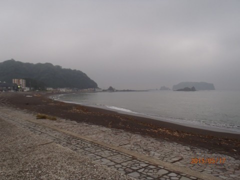 f8dj2fr8gb5853gzrg2j_480_480-a00e7ea3.jpg