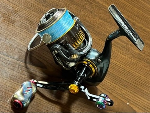 f8guk977p4e6kz8g2cxo_480_362-6a777389.jpg