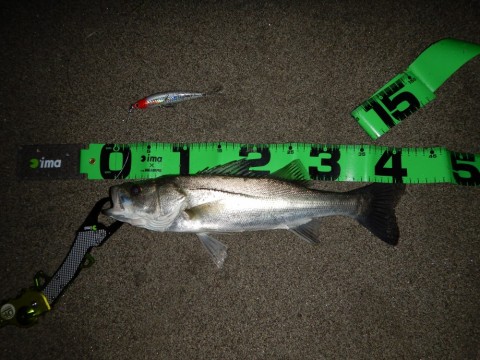 f8hz38yr5r3hj359k728_480_480-6444a1f4.jpg