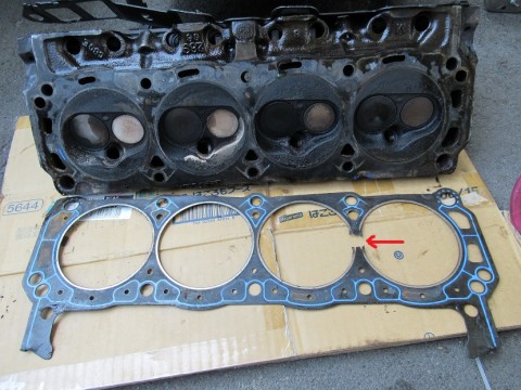 f958us6nkm2wjvrrp79f_480_480-c8e2a218.jpg