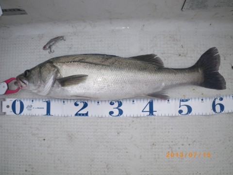 f95rr3whmny4u5mbbikk_480_480-eb3881b8.jpg
