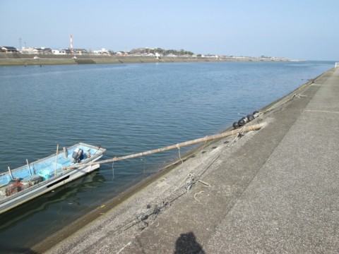f9paimw5mkrpnyfjmiox_480_480-17768adb.jpg