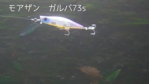 f9wds6ch6jik5uwsvu7z-542214fd.gif