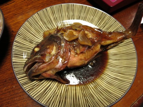 f9ypzrnfbvpf4u84nsna_480_480-d5c23328.jpg