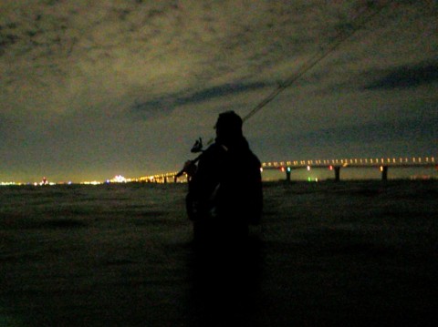 fKjfxQQgcptpe2yoUYaN_480_480-086147aa.jpg