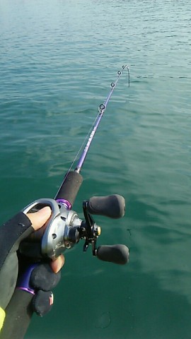fa25v88x8uhirib9cbva_518_920-874bb1ac.jpg