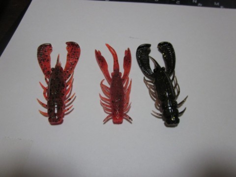 fa33x4bh7gjonpadmtoe_480_480-1ee17f3f.jpg