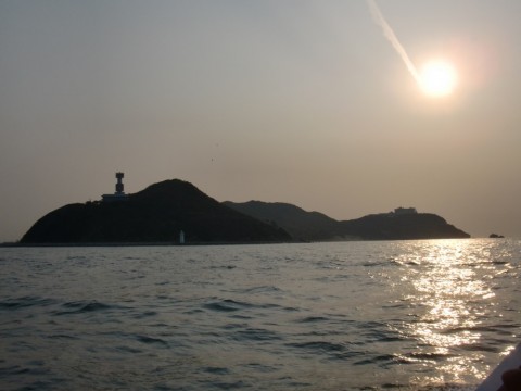 fa3cg59m95j4p6vyspaw_480_480-b682b9ae.jpg