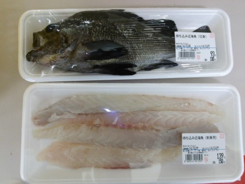 faspshu5gedzs745tm5f_480_480-d5b11254.jpg