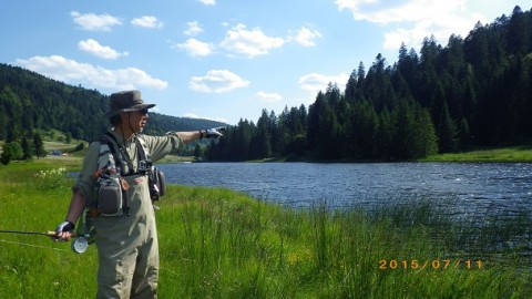 fayn8zkodpb3zj5e4dab_480_480-96c3577e.jpg