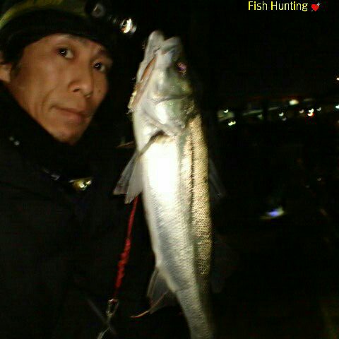 fb5jp62cbdbbozwa6ipe_480_480-f141f205.jpg