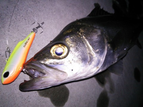 fbwkncex523dsko22dky_920_690-c885c395.jpg