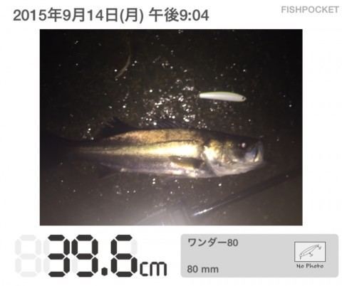 fc2kn2t65uksv3jan9po_920_771-328a8c82.jpg