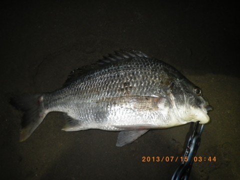 fc6is8yz7j4en24nhsnw_920_690-636b40d7.jpg