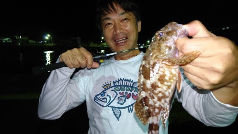fc7gxobi9w95zu8kyuaw_480_480-1a546e60.jpg