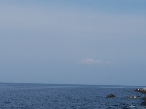 fc9ob74ei3mv7kxn6sdm_480_480-2337fc7c.jpg