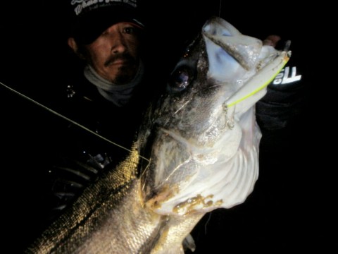fcehf7u9e8c94cfn7ft7_920_690-5eb0d9d0.jpg