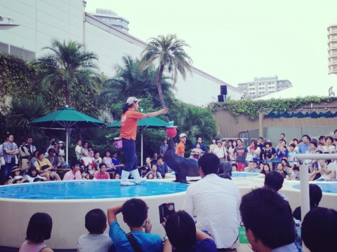 fcepmsc4pjtauj5yw3hu_920_690-fb941dc9.jpg