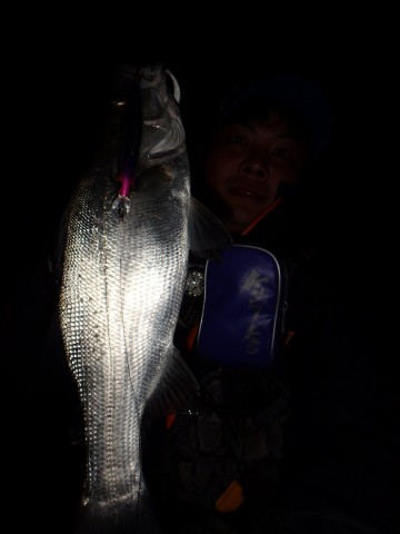 fcepnjipeieiycmu5chv_480_480-6631b731.jpg