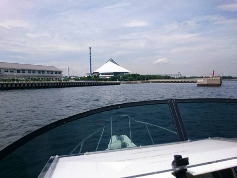fcmwsbomrdjuxdkmxxm3_480_480-e7f24a68.jpg