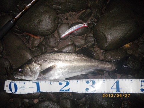 fcrtfr5jibufahwuojra_480_480-e6954470.jpg