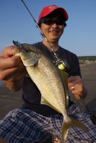 fcvb58777x2fy234mzt8_480_480-d218d1cd.jpg
