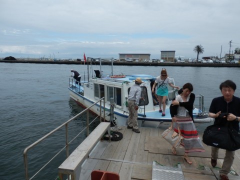 fd2iuavn78c7rvwcawp6_480_480-e931acbd.jpg