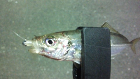 fd6tpscdhpxihxhxny6v_920_518-4f0883fa.jpg