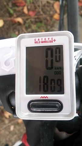 fd97hew6sdm3a24j43pw_480_480-c5f4108c.jpg