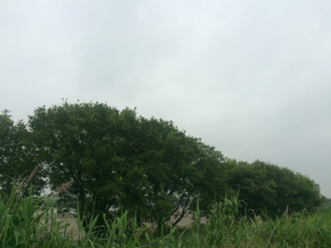 fdr6ekkav2gy6ugss8su_480_480-554e3d76.jpg
