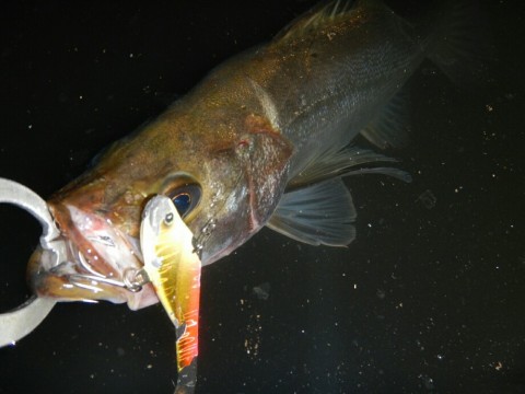 fdufzdm73tbafsz8573s_920_690-6fa60325.jpg
