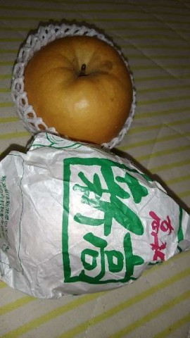 fdy9vcf9ij9yun2ssmxz_480_480-eab9d7e7.jpg
