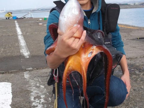 fe352f7s2pcy7awd27j6_900_675-b8ed32a8.jpg