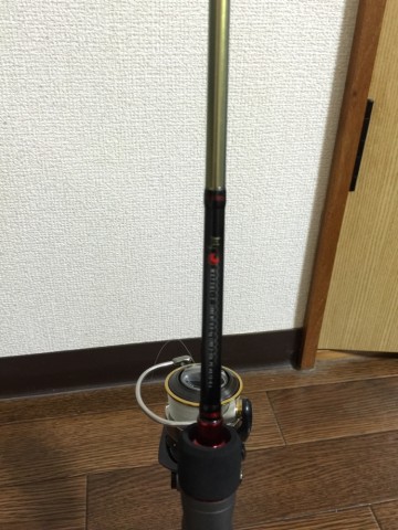 feeghw74fjspdizryce2_690_920-1502e998.jpg