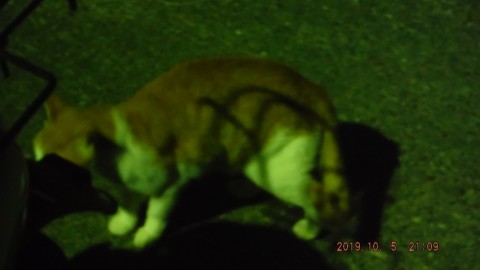 feg7ohupjvz5dcgk9zd2_480_480-db922b3b.jpg