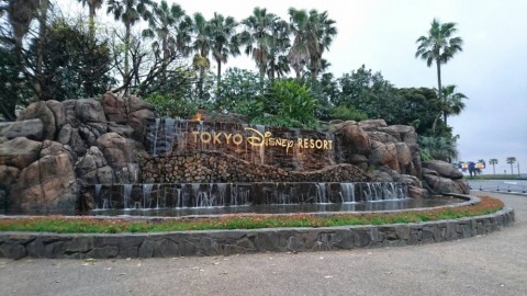 fejwbygzwxsoy5g9akoy_480_480-ff526507.jpg