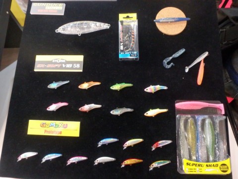 few5owehwswohrbbbies_480_480-c2b7e386.jpg