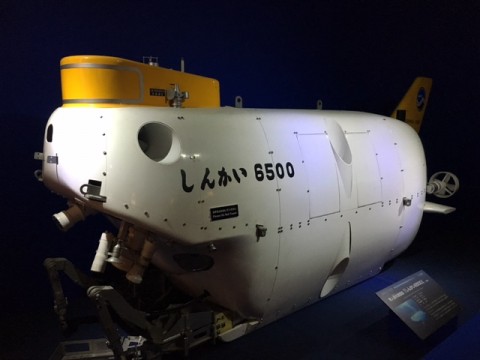 ff6xm6874yt6ayu47xjh_480_480-e9678044.jpg