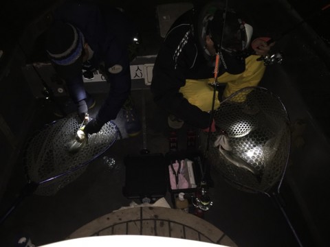 ffjkbwbnu3p6gwdpcfbs_920_690-d9551df1.jpg
