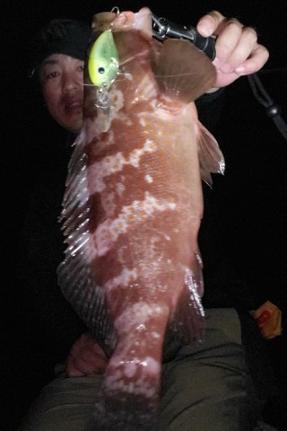 ffknksbfspnpsjcrrfu4_480_480-602962de.jpg