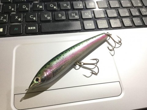 ffrprmaejdyhsibwpur9_480_480-e6c07c24.jpg