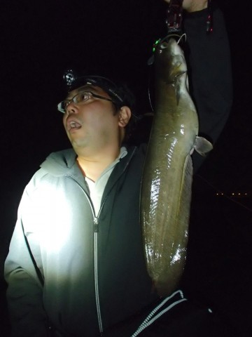 ffxbpibxfxhcervjdpo9_690_920-b8f982f7.jpg