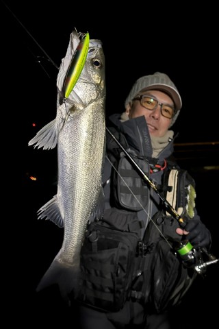 fg8boduuuk8v6srdzud9_480_480-d5793a65.jpg