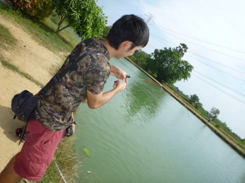 fggy5orp2kdkfrmphvgk_480_480-feed7564.jpg