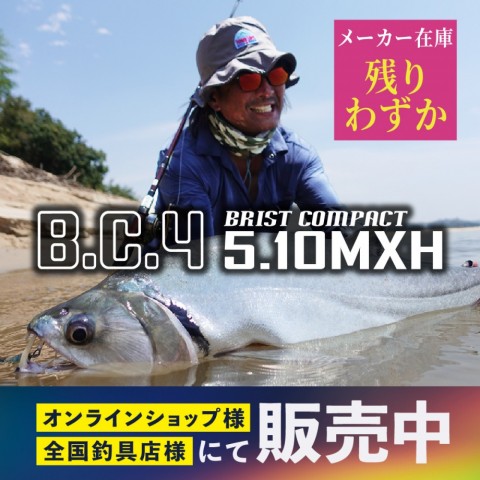 fgwtfsx92889bs84m6bs_480_480-db95731a.jpg