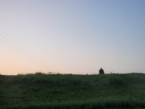 fh9mrevngerz4katx38a_480_480-3d95df55.jpg