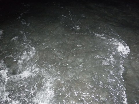 fha8sux6hfphkekoijdx_480_480-1295d11c.jpg